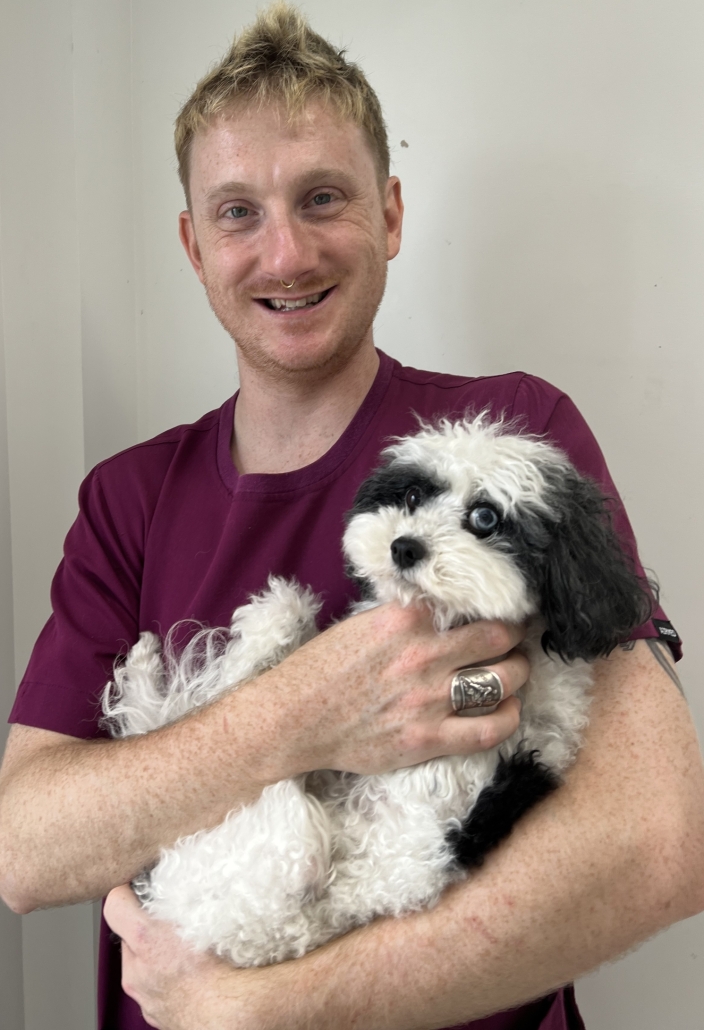 Brisbane Water Veterinary Hospital